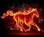 pic for Fire Horse 